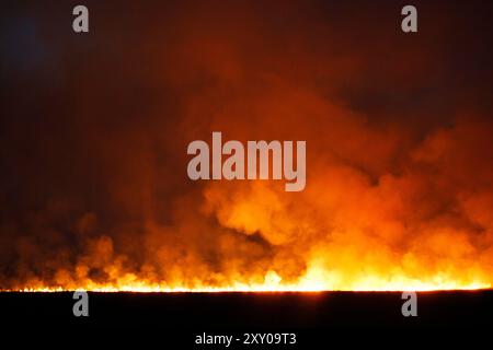 Waldfeuer, Feuersteiger, Corse, Frankreich Stockfoto