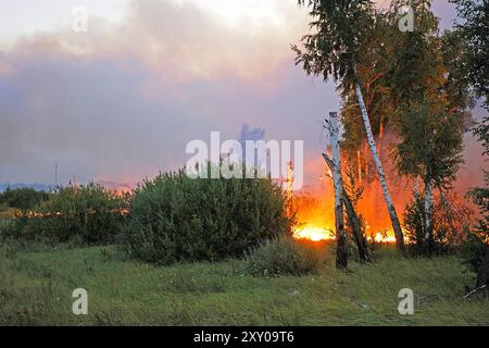 Waldfeuer, Feuersteiger, Corse, Frankreich Stockfoto