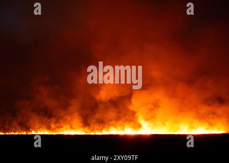 Waldfeuer, Feuersteiger, Corse, Frankreich Stockfoto