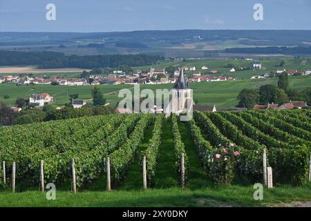 Villedommange (Nordostfrankreich): Dorf mit Häusern um die Kirche Saint-Lie aus dem 13. Jahrhundert und Landschaft mit Weinbergen Stockfoto