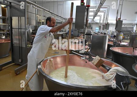 Italien, Emilia-Romagna: Castelvetro di Modena. Cooperativa San Silvestro, 1975 gegründete Parmesan-Käsefabrik, spezialisiert auf die Herstellung von Par Stockfoto