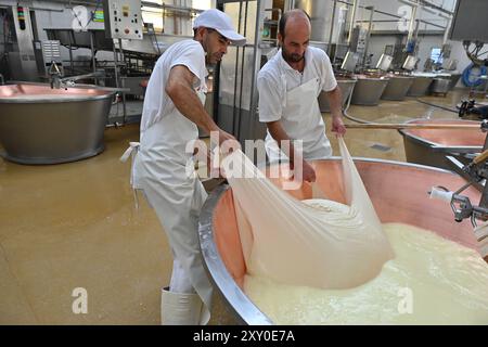 Italien, Emilia-Romagna: Castelvetro di Modena. Cooperativa San Silvestro, 1975 gegründete Parmesan-Käsefabrik, spezialisiert auf die Herstellung von Par Stockfoto