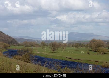 Der Fluss Lune am Crook of Lune mit einem Fernblick auf Penyghent in den Yorkshire Dales bei Caton Lancaster Lancashire England Stockfoto