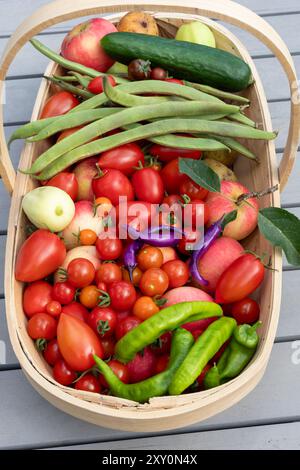 Auswahl an hausgemachtem Obst und Gemüse, frisch geerntet und in einem Träger platziert Stockfoto