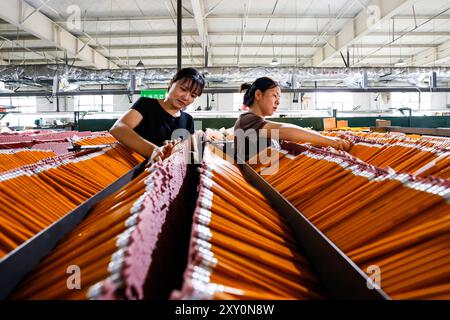 SUQIAN, CHINA - 27. AUGUST 2024 - Ein Arbeiter produziert Bleistifte in der Produktionswerkstatt von Chinas erster Bleistiftfirma in Suqian, Jiangsu p Stockfoto