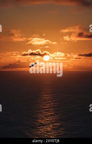 Das Bild zeigt einen atemberaubenden Sonnenuntergang über dem Ozean auf den Azoren und einen einsamen Vogel im Flug vor einem lebendigen, mit Gold bemalten Himmel Stockfoto