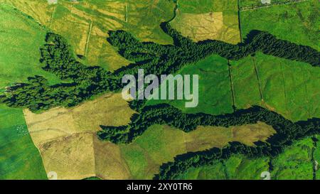 Hochwinkelaufnahmen, die die kontrastreiche Landschaft der Azoren mit riesigen grünen Feldern, die von gewundenen Reihen dichten Waldes geteilt werden, festhalten Stockfoto