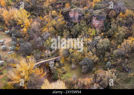 Luftaufnahme mit einer ruhigen, alten Steinbrücke, eingebettet in einen lebendigen, abwechslungsreichen Wald, der in Herbstfarben gekleidet ist Stockfoto