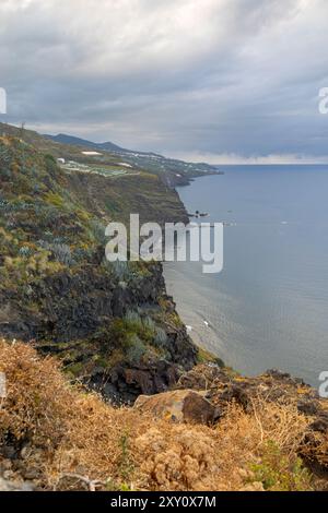 Dieses Foto bietet einen atemberaubenden Blick von einer Küstenklippe mit Flecken lokaler Bejeque und wilden Gräsern vor dem Hintergrund des riesigen Ozeans Stockfoto