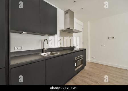 Ein elegantes, modernes Küchendesign mit schwarzen Schränken, Edelstahlgeräten und einer klaren, minimalistischen Ästhetik. Stockfoto