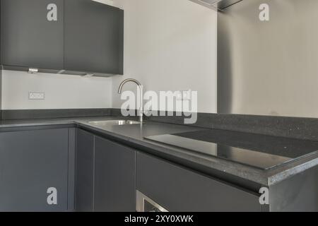 Eine elegante, moderne Kücheneinrichtung mit dunklen Schränken, Geräten aus Edelstahl und neutralen Arbeitsflächen. Stockfoto