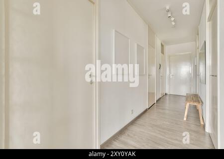 Heller und geräumiger, leerer Flur in einem modernen Haus mit weißen Wänden, Holzfußboden und modernen Beleuchtungselementen. Stockfoto