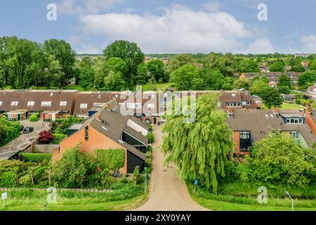 Blick aus der Vogelperspektive auf ein friedliches Vorstadtviertel mit üppigem Grün und Familienhäusern. Stockfoto