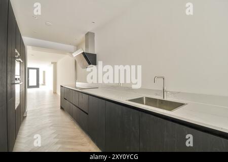 Eine elegante, moderne Küche mit schwarzen Schränken, Marmorarbeitsplatten, einem Waschbecken aus Edelstahl und minimalistischem Design. Stockfoto