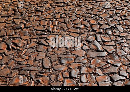 Steinboden im öffentlichen Park, Ribeirao Preto, Sao Paulo, Brasilien Stockfoto