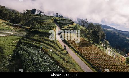 Blick aus der Vogelperspektive auf grüne Obstfelder an den Hängen des Mount Sumbing, Zentral-Java, Indonesien. Schön und fruchtbar. Stockfoto