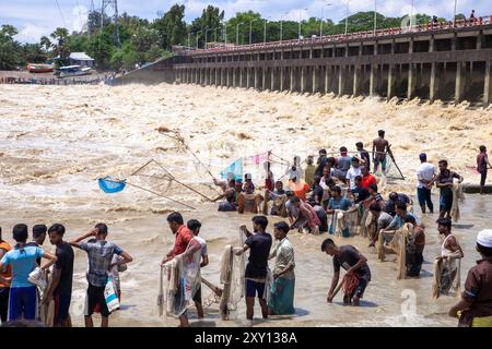 Feni, Chittagong, Bangladesch. August 2024. 27. August 2024, Feni, Chittagong, Bangladesch: Fischer und gewöhnliche Menschen fischen mit handgefertigten Netzen am Ufer des Feni River, wobei sie den starken Fluss von Hochwasser entlang des Muhuri-Projekts in Sonagazi Upazila, Bezirk Feni, Division Chittagong, Bangladesch ignorieren. (Kreditbild: © Muhammad Amdad Hossain/ZUMA Press Wire) NUR REDAKTIONELLE VERWENDUNG! Nicht für kommerzielle ZWECKE! Stockfoto