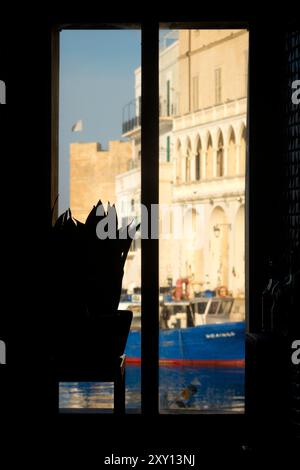 Blick auf den Porto Vecchio von Monopoli, Italien Stockfoto