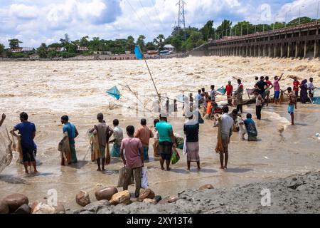 Feni, Chittagong, Bangladesch. August 2024. 27. August 2024, Feni, Chittagong, Bangladesch: Fischer und gewöhnliche Menschen fischen mit handgefertigten Netzen am Ufer des Feni River, wobei sie den starken Fluss von Hochwasser entlang des Muhuri-Projekts in Sonagazi Upazila, Bezirk Feni, Division Chittagong, Bangladesch ignorieren. (Kreditbild: © Muhammad Amdad Hossain/ZUMA Press Wire) NUR REDAKTIONELLE VERWENDUNG! Nicht für kommerzielle ZWECKE! Stockfoto