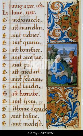 Miniatur, die den Monat Juni darstellt. Das Scheren eines Widders. Illustrierter Kalender im Livre d'Heures de Séguier, ca. 1490. Aus Nordfrankreich. Pergament, 190 mm x 125 mm. Condé-Museum. Château de Chantilly. Frankreich. Stockfoto