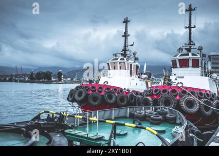 Zwei Schlepper im Hafen Batumi, Georgia Stockfoto