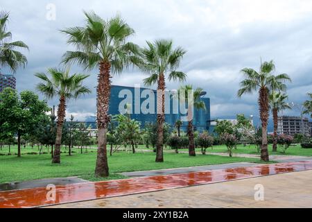 Palmenallee an der Promenade von Batumi, Georgia und Fahrradstraße Stockfoto