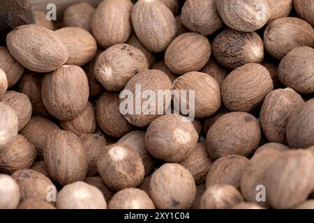 Muskatnuss, Myristica Fragrans Stockfoto