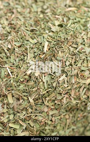 Trockener Estragon, Artemisia Dracunculus Stockfoto