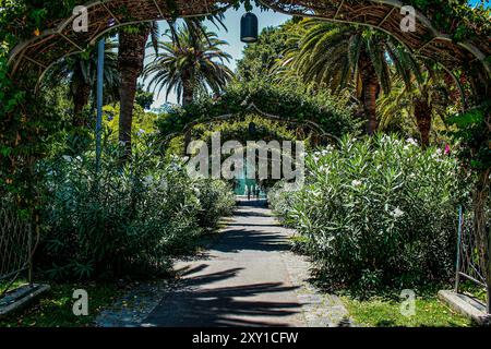 Santa Cruz de Teneriffa, Teneriffa, Comunidad Autonoma des Canarias, Spanien. Parque Garcìa Sanabria. Stockfoto