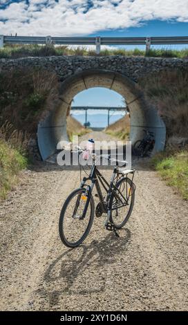 Leihfahrräder auf dem Otago Railtrail, South Island, Neuseeland. Stockfoto