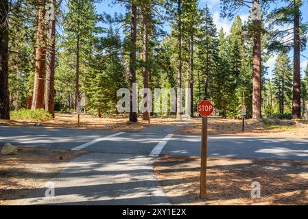 Stoppschild auf einem Fahrradweg, der eine Straße in einem Kiefernwald in den Bergen an einem sonnigen Herbsttag überquert Stockfoto