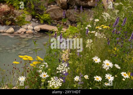 Agastache „Blackadder“, Achillea Credo, Luecanthemum vulgare und Daucus carota rund um einen kleinen Teich im Oregon Garden. Designer: Sadie May Stowell Stockfoto