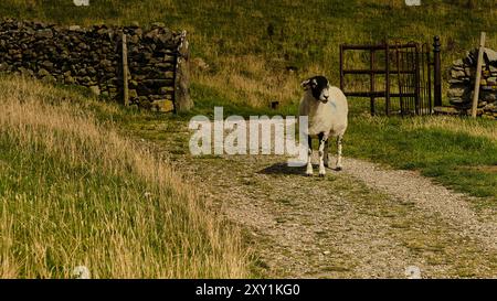 Lake District Uk Stockfoto