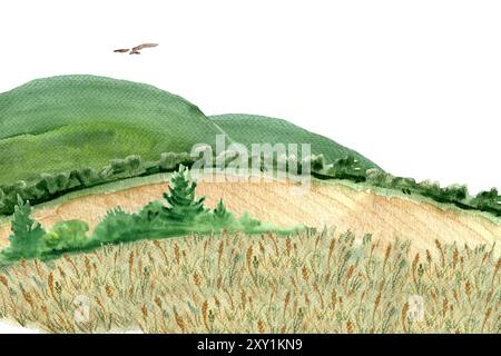 Weizenfelder mit Buschrändern, Hügel und Drachen-Aquarelllandschaft isoliert auf weiß. Handgemalte Natur- und Landschaftsdesign-Elemente, ideal für Karten Stockfoto