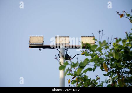 LED-Straßenlampe auf blauem Himmel Hintergrund Stockfoto