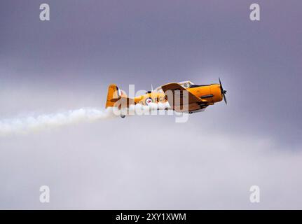 North American Harvard IV Trainerflugzeuge fliegen auf einer jährlichen Flugschau, der Airshow of the Cascades in Madras, Oregon. Stockfoto