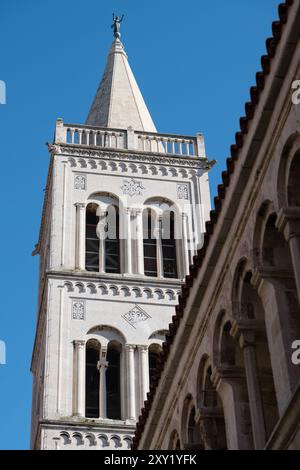 Glockenturm der Kathedrale von Saint Anastasia, Altstadt von Zadar, Kroatien Stockfoto