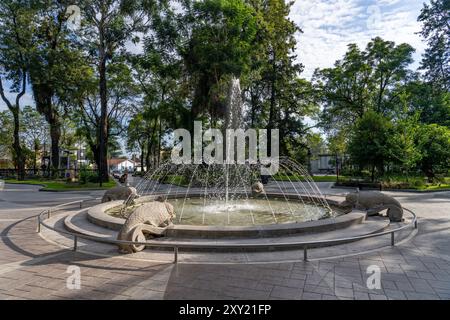 Der Delfinbrunnen auf der Plaza Bernabe Arao in Monteros in der Provinz Tucumán, Argentinien. Stockfoto