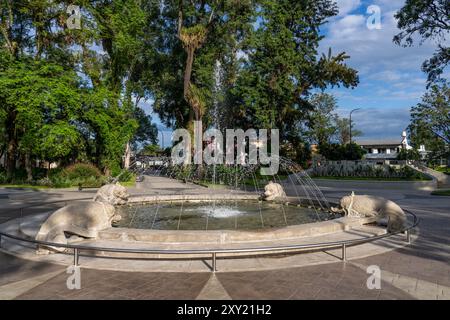 Der Delfinbrunnen auf der Plaza Bernabe Arao in Monteros in der Provinz Tucumán, Argentinien. Stockfoto