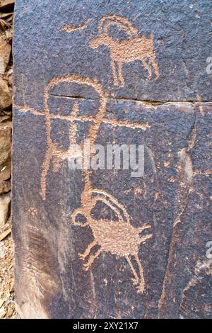 Eine prähispanische Felskunst- oder Petroglyphenplatte der Ureinwohner von Fremont im Daddy's Canyon im Nine Mile Canyon, Utah. Stockfoto