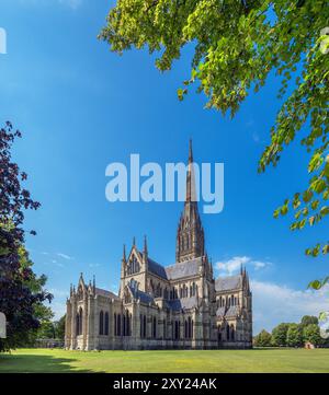 Salisbury Kathedrale, Salisbury, Wiltshire, England, Vereinigtes Königreich Stockfoto