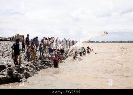 Feni, Chittagong, Bangladesch. August 2024. Fischer und gewöhnliche Menschen fischen mit handgefertigten Netzen am Ufer des Flusses Feni und ignorieren dabei den starken Fluss von Hochwasser entlang des Muhuri-Projekts von Sonagazi Upazila, Bezirk Feni, Division Chittagong, Bangladesch. (Kreditbild: © Muhammad Amdad Hossain/ZUMA Press Wire) NUR REDAKTIONELLE VERWENDUNG! Nicht für kommerzielle ZWECKE! Stockfoto