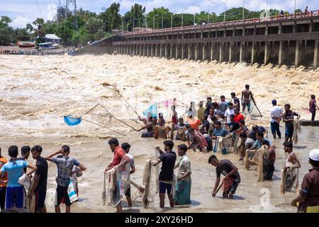 Feni, Chittagong, Bangladesch. August 2024. 27. August 2024, Feni, Chittagong, Bangladesch: Fischer und gewöhnliche Menschen fischen mit handgefertigten Netzen am Ufer des Feni River, wobei sie den starken Fluss von Hochwasser entlang des Muhuri-Projekts in Sonagazi Upazila, Bezirk Feni, Division Chittagong, Bangladesch ignorieren. (Kreditbild: © Muhammad Amdad Hossain/ZUMA Press Wire) NUR REDAKTIONELLE VERWENDUNG! Nicht für kommerzielle ZWECKE! Stockfoto