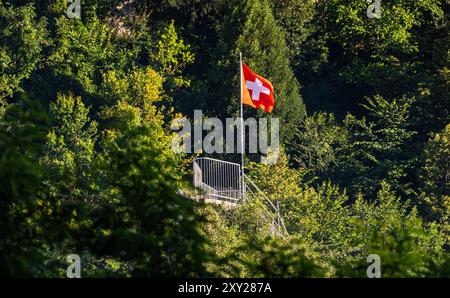 Neuhausen am Rheinfall, Schweiz, 8. Juli 2024: Der Rhein-Wasserfall-Felsen mitten im Rheinfall ist derzeit für Touristen nicht zugänglich. Die Stockfoto