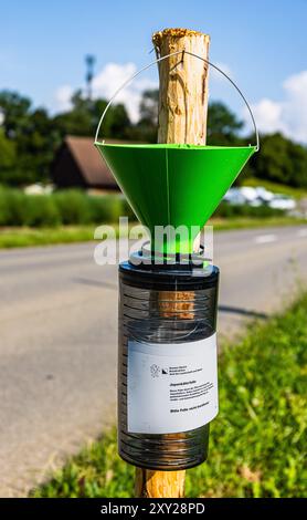 Flaach, Schweiz, 3. August 2024: Außerhalb des Überwachungsradius von 7 Kilometern um die Stadt Kloten wurde eine japanische Käferfalle entdeckt Stockfoto