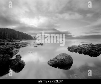 BW02017-00...... BRITISH COLUMBIA - Fishermans Bay auf Vancouver Island. Stockfoto