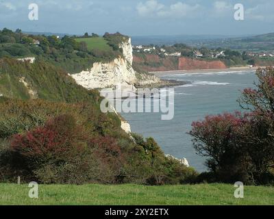 Blick nach Osten an einem hellen, sonnigen Herbsttag von Beer Head und den weißen Klippen über Bierstraßen bis zu den roten Klippen des devon bei Seaton in Devon. Stockfoto