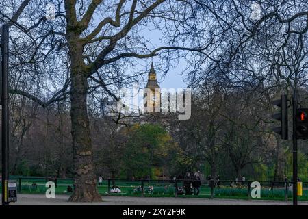 Ein Blick durch die Zweige des St. James's Park von London's Big Ben, beleuchtet vom Abendlicht, mit Freunden, die auf dem Gras im p Stockfoto