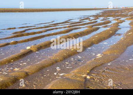 Gezeitenrillen bilden strukturierte Grate an einem Sandstrand mit ruhigem Horizont. Stockfoto