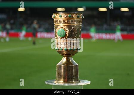 27. August 2024, Nordrhein-Westfalen, Münster: Fußball: DFB-Cup, Preußen Münster - VfB Stuttgart, 1. Runde im Stadion an der Hammer Straße. Der DFB-Cup steht vor Spielbeginn an der Seitenlinie. Foto: Friso Gentsch/dpa - WICHTIGER HINWEIS: Gemäß den Vorschriften der DFL Deutschen Fußball-Liga und des DFB Deutschen Fußball-Bundes ist es verboten, im Stadion und/oder im Spiel aufgenommene Fotografien in Form von sequenziellen Bildern und/oder videoähnlichen Fotoserien zu verwenden oder zu verwenden. Stockfoto